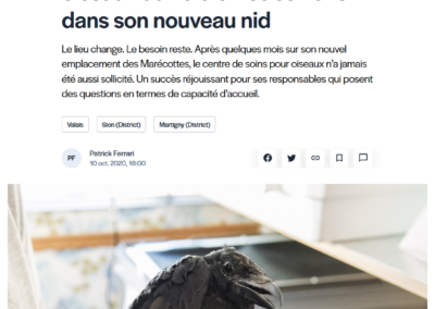 L’unique centre de soins pour oiseaux du Valais très sollicité dans son nouveau nid