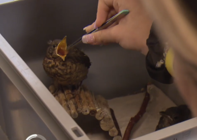 À Sion, la structure CAP’Ado accueille et accompagne les 13-18 ans hospitalisés pour des troubles psychiques. Témoignages