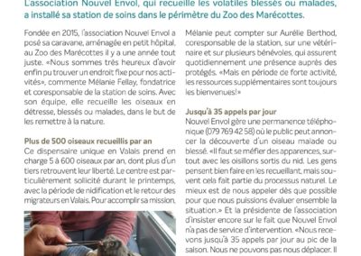 Un nid pour les oiseaux en détresse