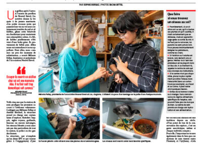 Nouvel envol a soigné 3000 oiseaux en cinq ans