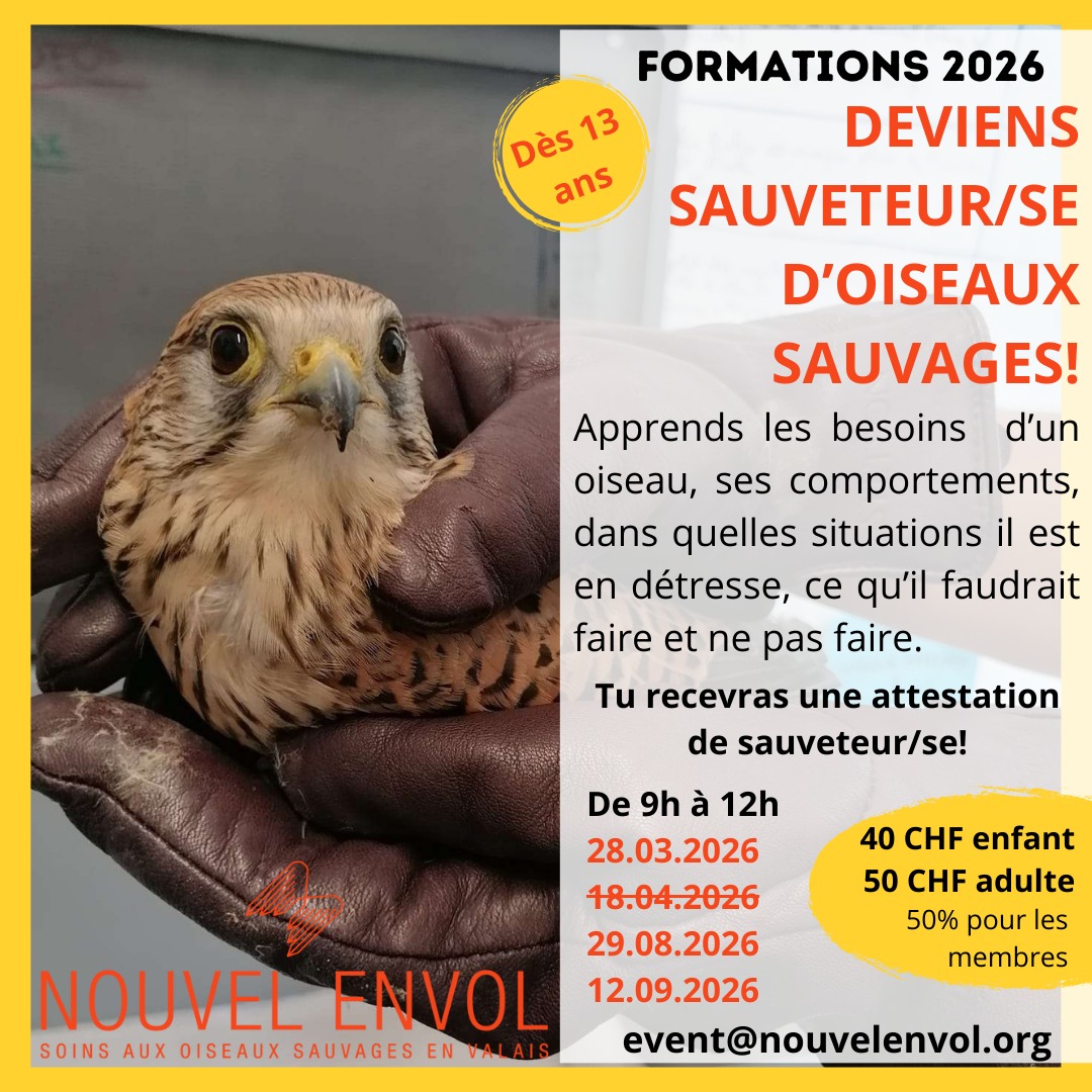 blood pressure, stethoscope, medical, health, blood pressure monitor, blood pressure, stethoscope, medical, medical, medical, medical, health, health, health, health, health